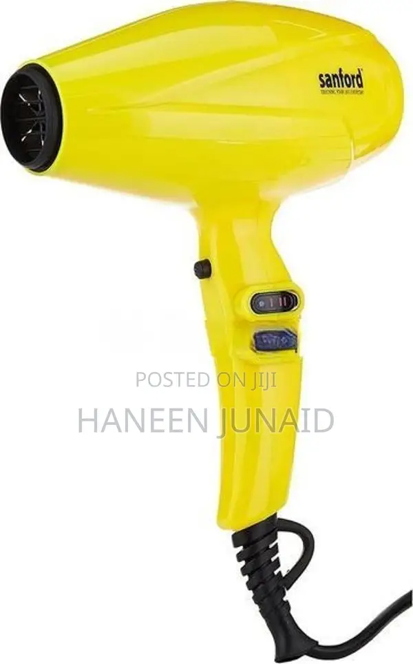 Sanford Professional Hair Dryer
