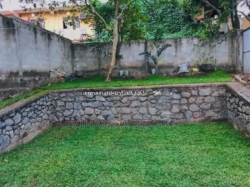 Malaysian Grass