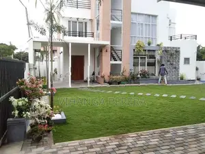 Malaysian Grass