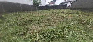 Land for Sale Boralesgamuwa