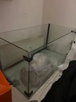 Fish Tank with Setup