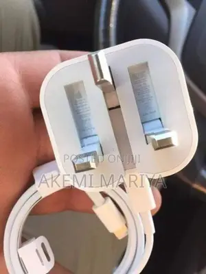 iPhone Charger