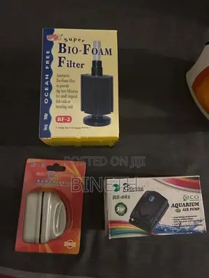 Fish Tank with Setup