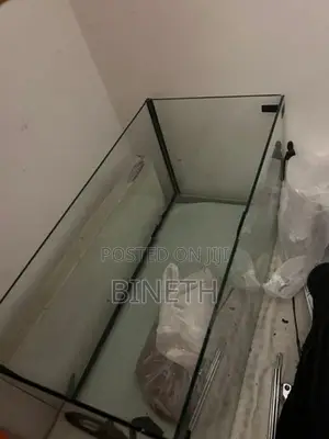 Fish Tank with Setup