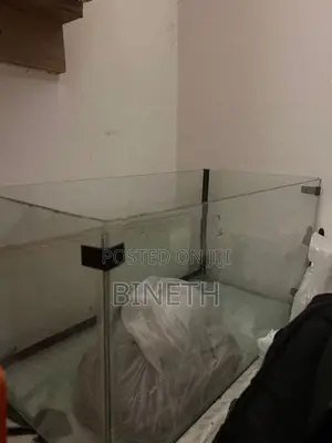 Fish Tank with Setup