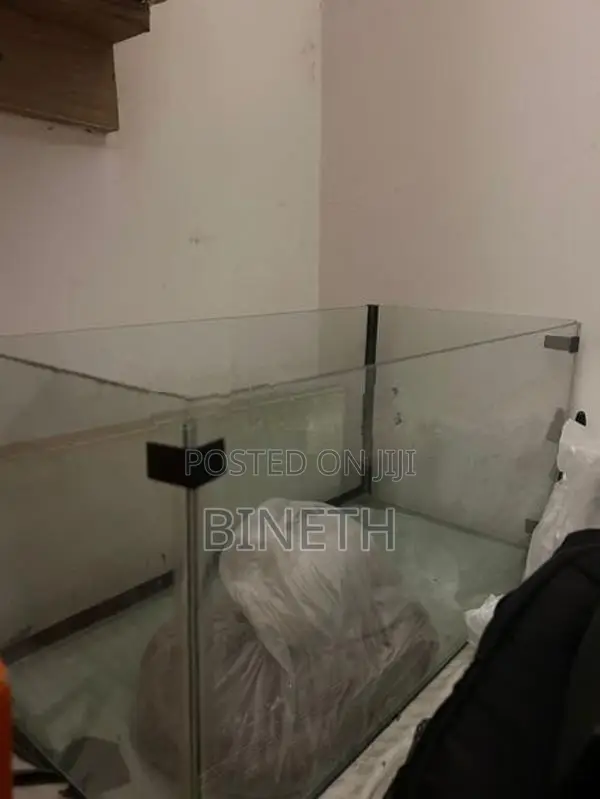 Fish Tank with Setup