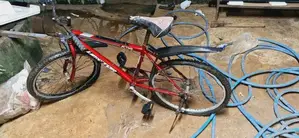 Lumala Bicycle