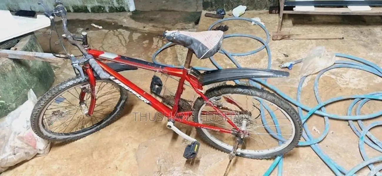 Lumala Bicycle