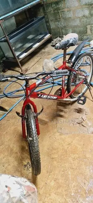 Lumala Bicycle