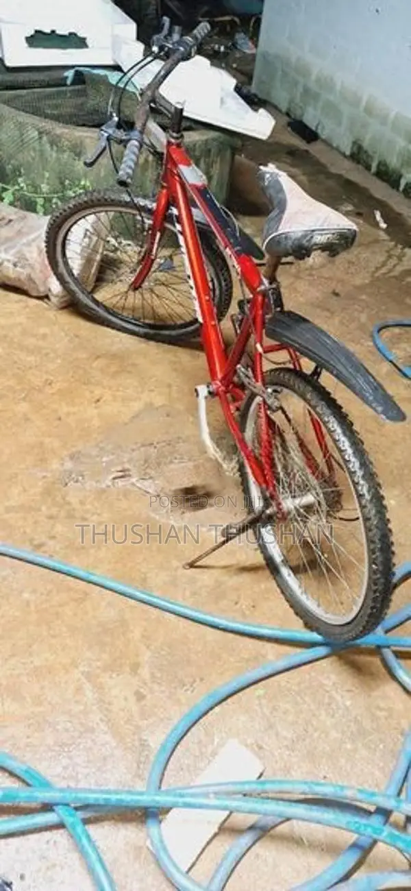 Bicycle