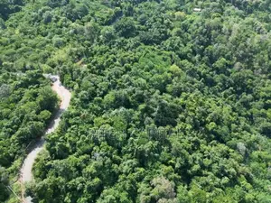 Beautiful Land Plots for Sale Ella