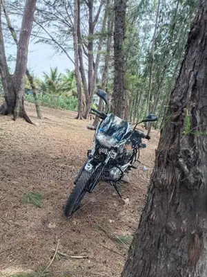 Bajaj Pulsar 150 2018