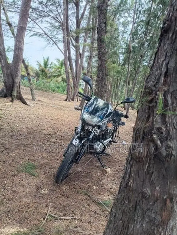 Bajaj Pulsar 150 2018