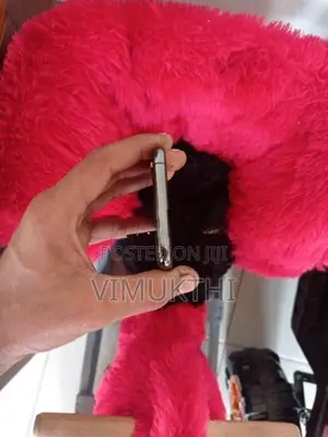 Apple iPhone XS (Used)