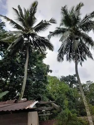 Land for Sale Avissawella