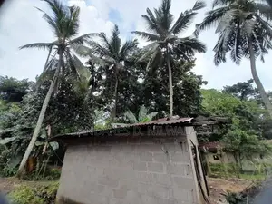 Land for Sale Avissawella