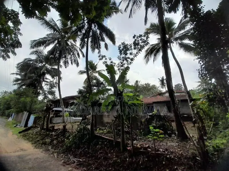 Land for Sale Avissawella