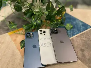 Apple iPhone 12 Pro 256GB (Used)