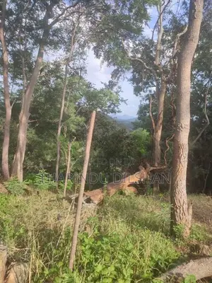 Land for Sale Ella