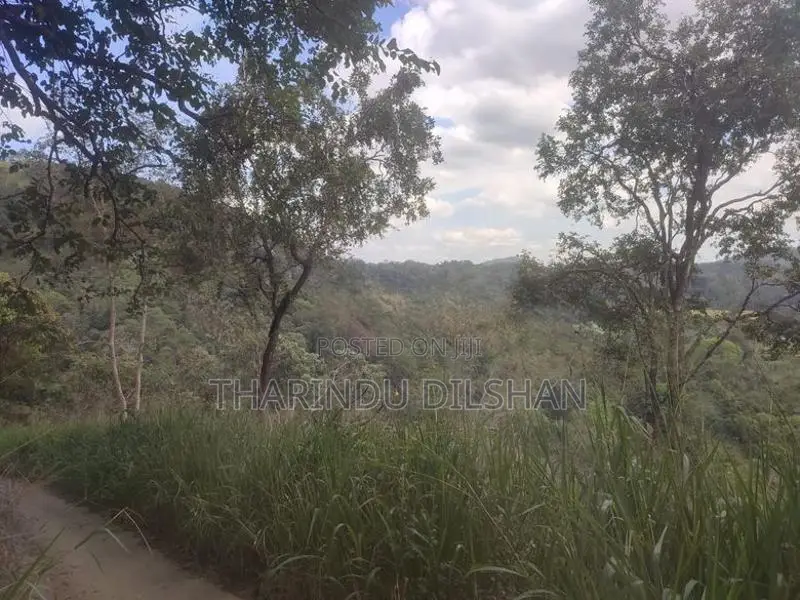 Land for Sale Ella