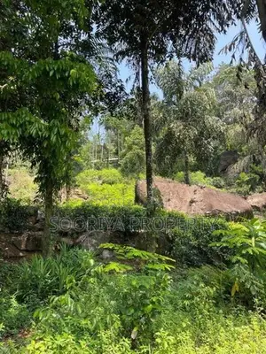 800 Perches ( 5 Acres ) Tea Estate for Sale in Galle Neluwa