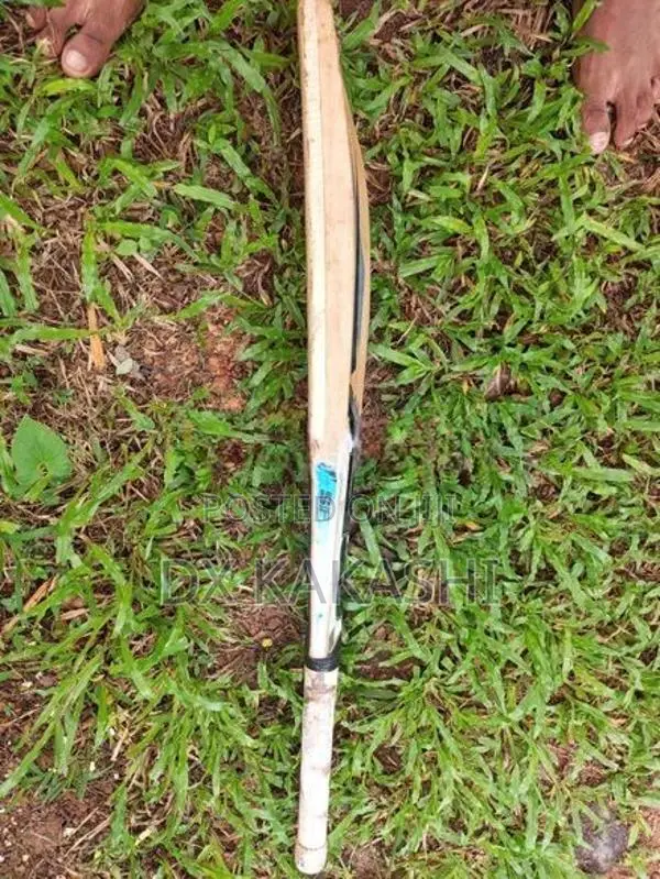 SF Leader Bat