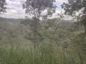 Land for Sale Ella