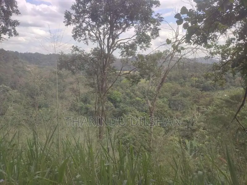 Land for Sale Ella