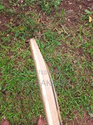 SF Leader Bat