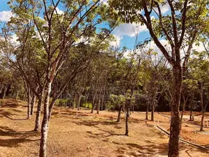 Land for sale in kahathuduwa