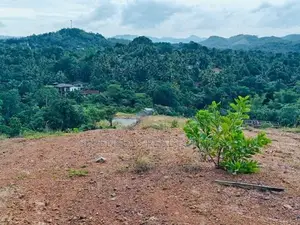 Residential Land for Sale in Avissawella