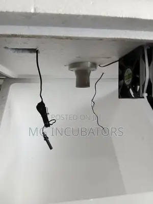 Egg Incubator