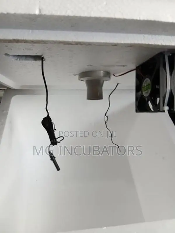 Egg Incubator