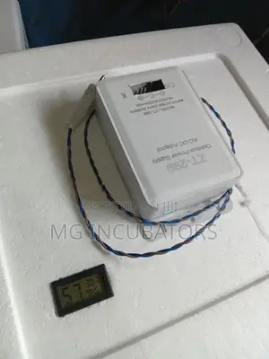 Egg Incubator