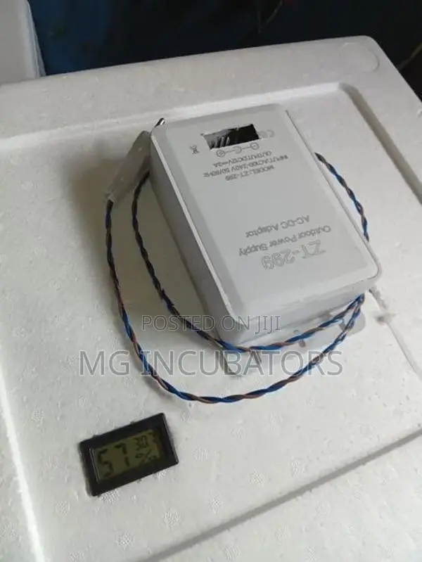 Egg Incubator