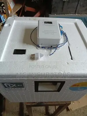 Egg Incubator