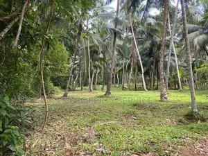 Land For Sale in Delgoda (SSPL-365)