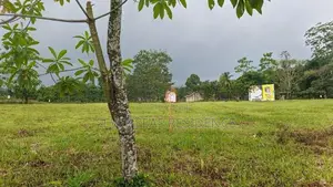 වටිනා ඉඩම් කොටස් කිහිපයක් ඇහැලියගොඩ සුන්දර නගරයෙන් 😍