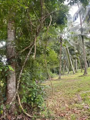 Land For Sale in Delgoda (SSPL-365)
