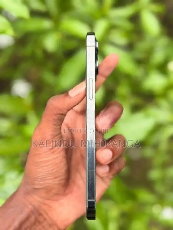 Apple iPhone 12 Pro Max (Used)