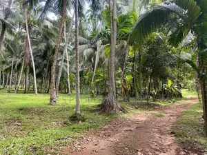 Land For Sale in Delgoda (SSPL-365)