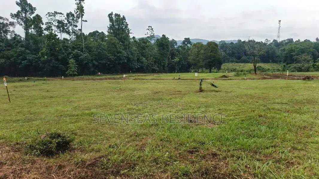 වටිනා ඉඩම් කොටස් කිහිපයක් ඇහැලියගොඩ සුන්දර නගරයෙන් 😍