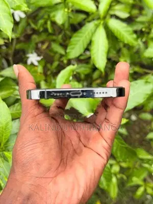 Apple iPhone 12 Pro Max (Used)