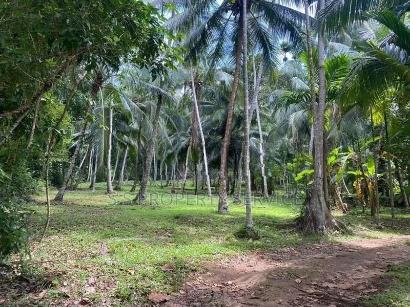 Land For Sale in Delgoda (SSPL-365)