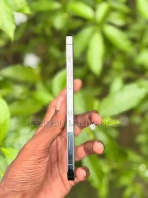 Apple iPhone 12 Pro Max (Used)