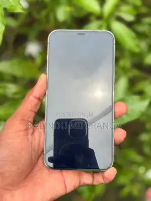 Apple iPhone 12 Pro Max (Used)