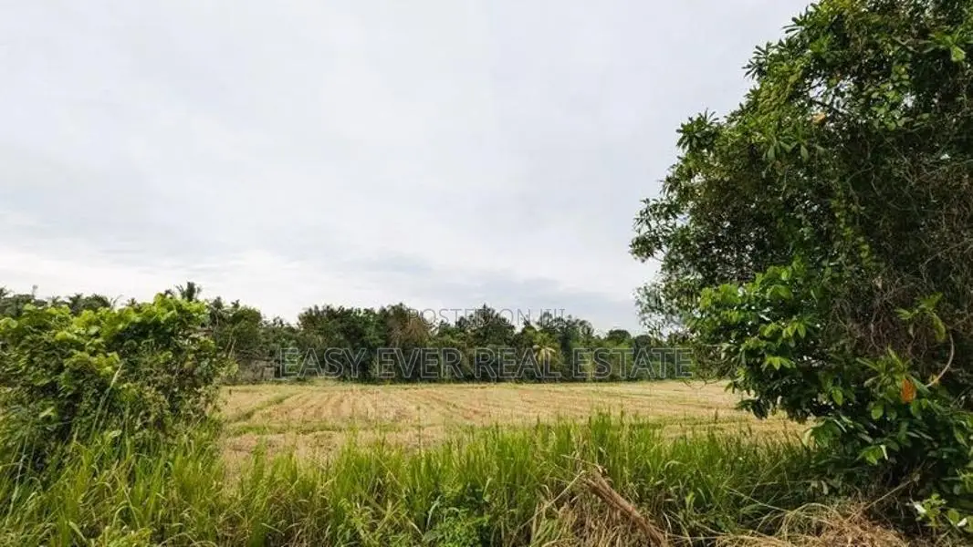 Land for sale in Nittambuwa