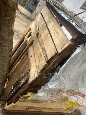 Pigeon Cage