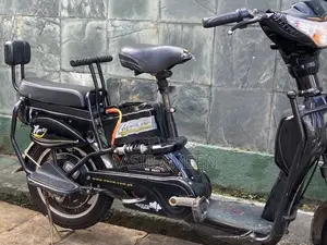 E Bike 2021