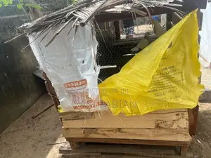 Pigeon Cage